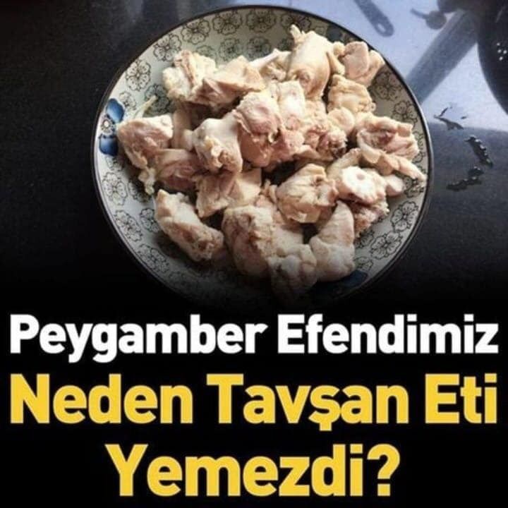 Tavşan Neden Yenmez