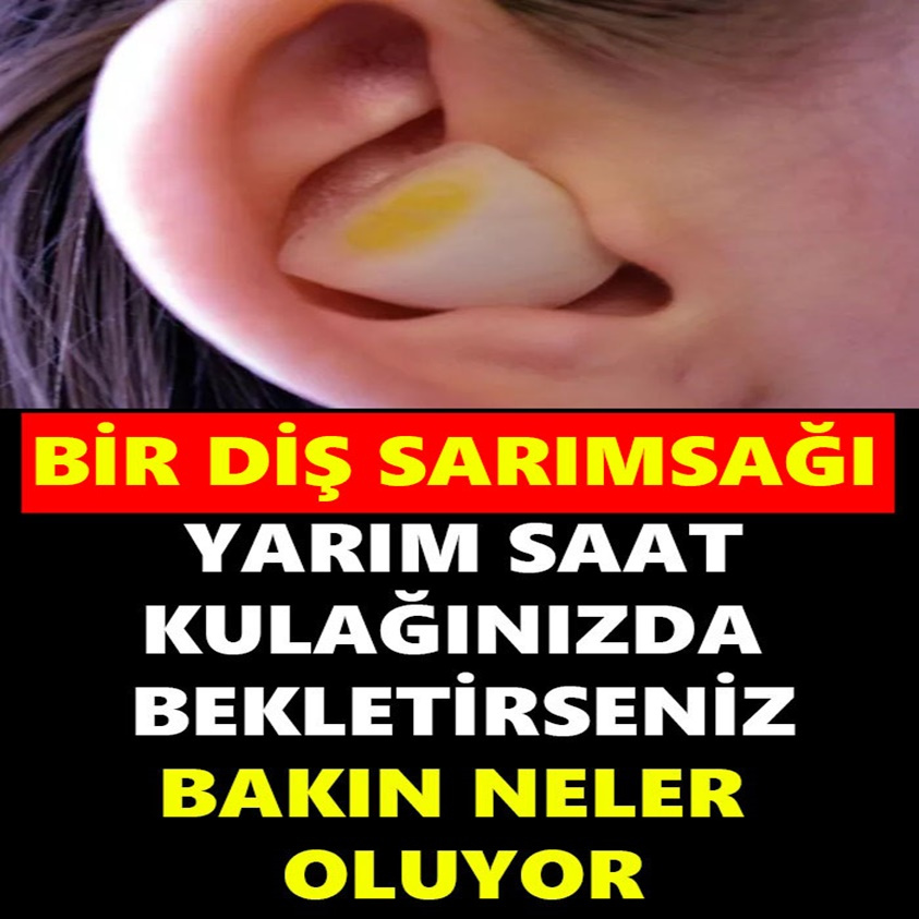 Bir diş sarımsağı..