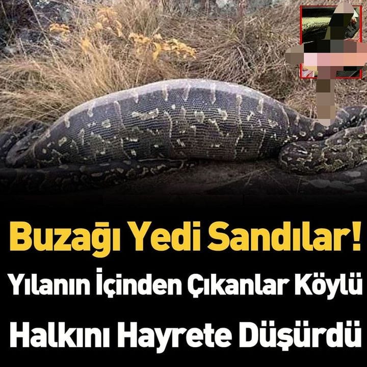 karnından çıkan
