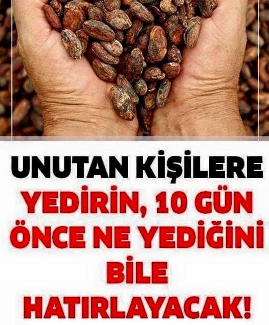 Zeka ve Zihni Uçuşa Geçirip, Hafızayı güçlendirir..