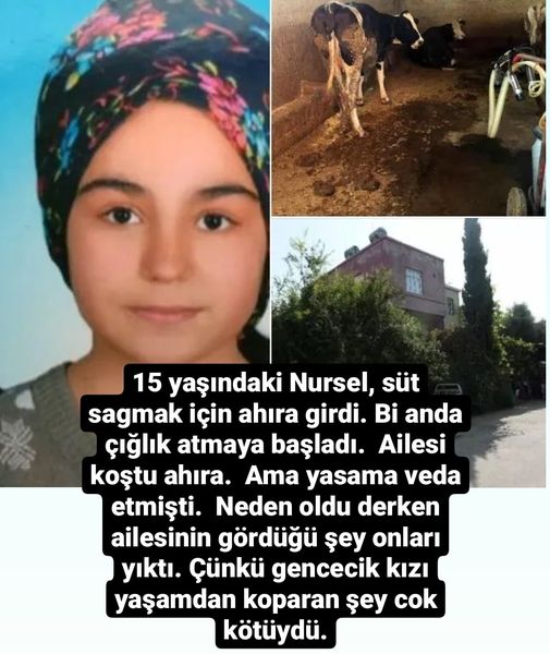Adana’nın Yüreğir ilçesinden