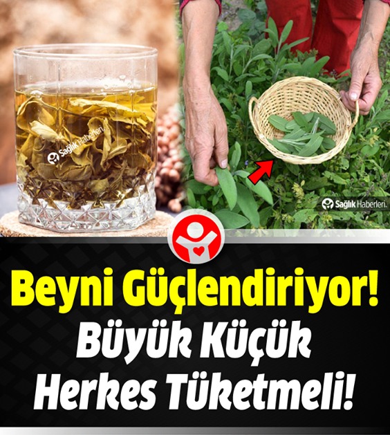 Dünyadaki en şifalı bitkilerden..