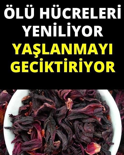 Ölü hücreleri yeniliyor.