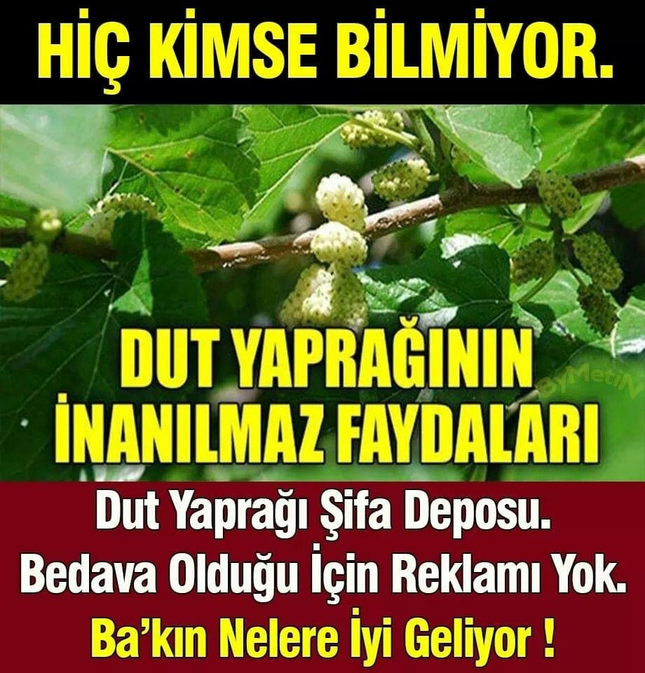Burnumuzun ucundaki sağlık
