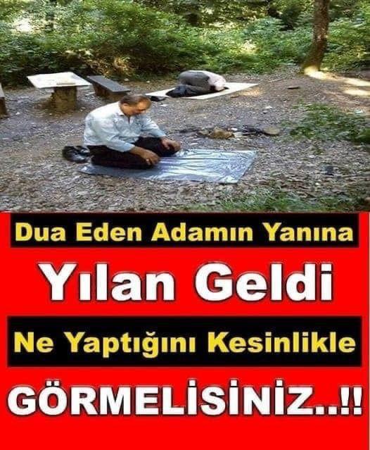Namaz kılarken gelen y’ılan