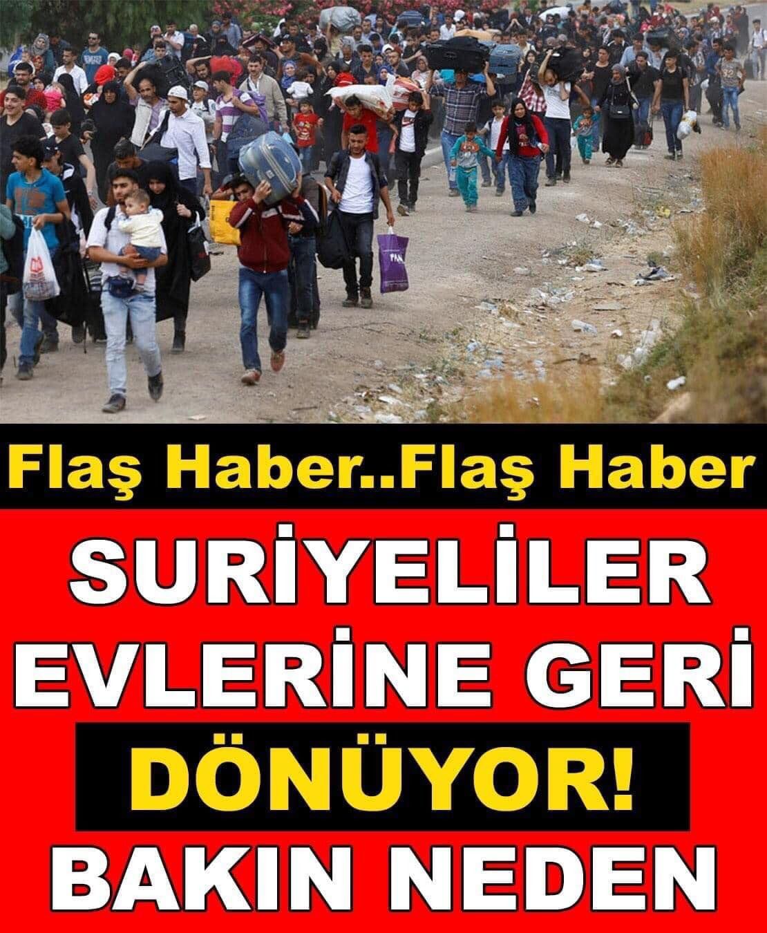 Suriyeliler Ülkelerine Geri Dönmek İstiyor Mu ?