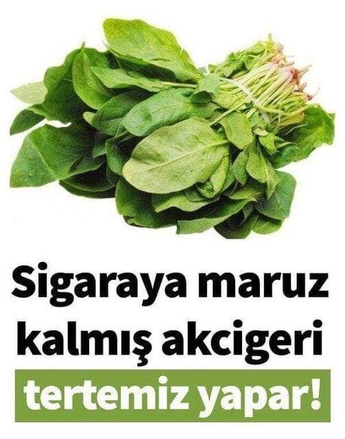 SİGARAYA MARUZ KALMIŞ