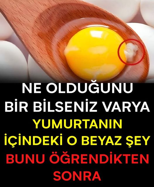 YUMURTADA Kİ BEYAZ ŞEY NE